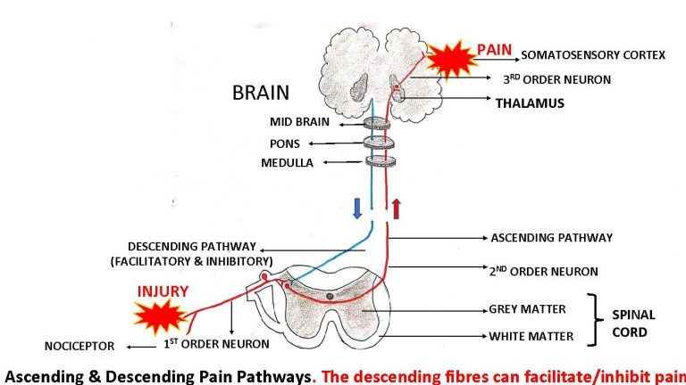 palliative-services-for-cancer-pain