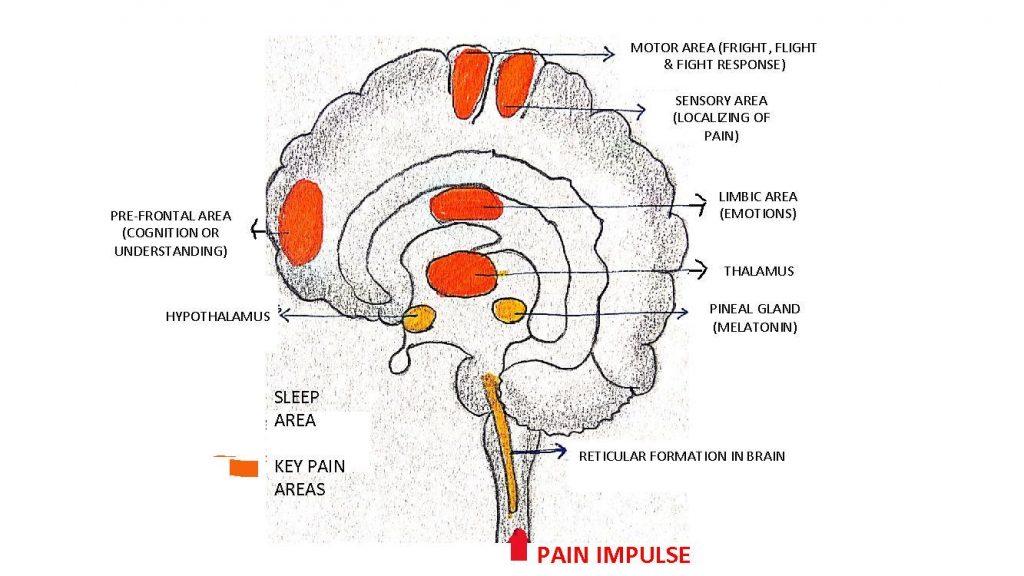 palliative-services-for-cancer-pain