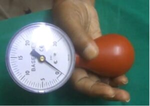 documentation of co-contraction effects with a dynamometer